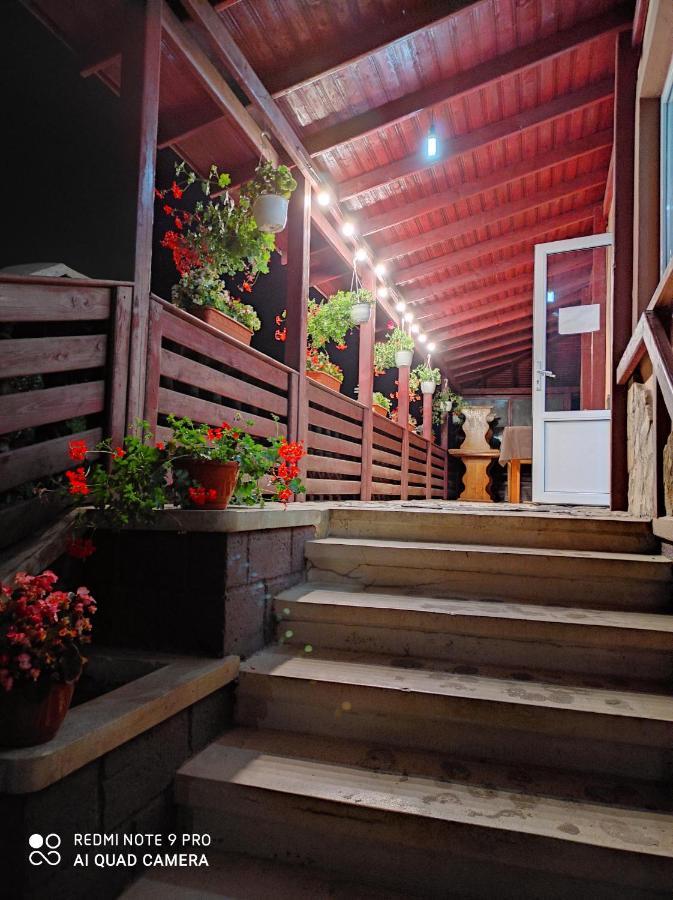 Pensiunea Viorica Fundu Moldovei Exterior foto